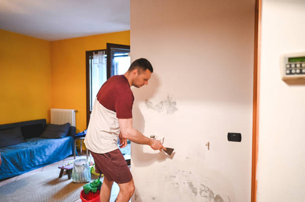 Trusted Duarte, CA Mold Remediation Experts